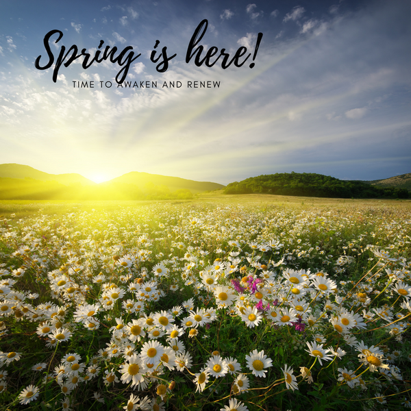 Spring: A Journey of Awakening