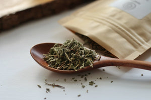 Damiana: the love herb, herb of love, natural herb of passion