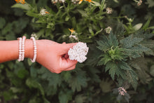 Kitchen Witch Apprentice: A Hands-On Herbal Workshop - November 8th at 1:00pm