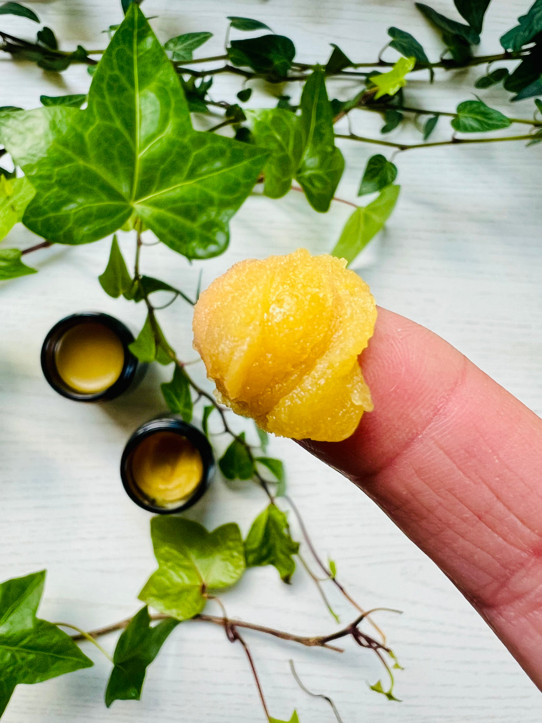 Poplar Bud Magic: Learning How to Make Balm of Gilead