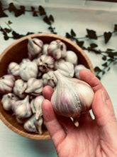 A hand holding a single garlic bulb in front of a wooden bowl filled with more garlic cloves, with decorative leaves in the background.