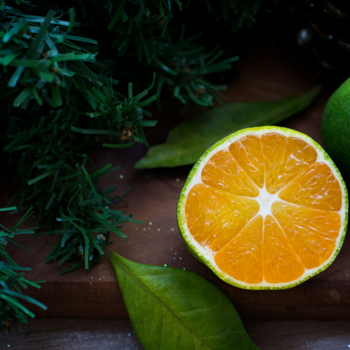 Focus | Pure Essential Oil Blend