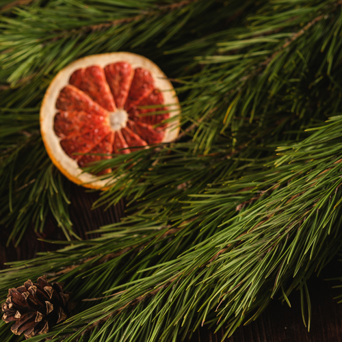 Winter Solstice | Pure Essential Oil Blend